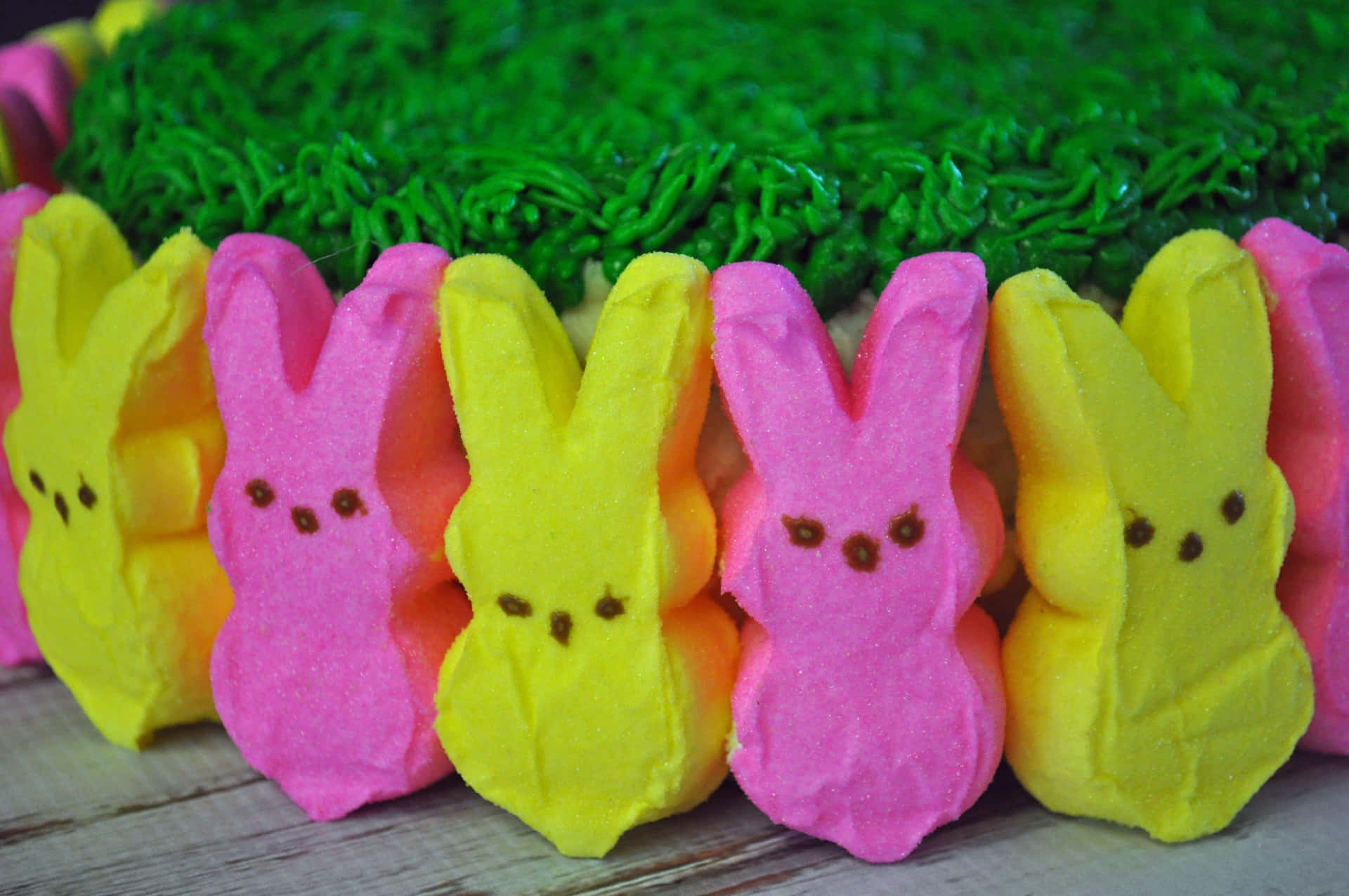 Easter Peeps Bunny Candies Wallpaper