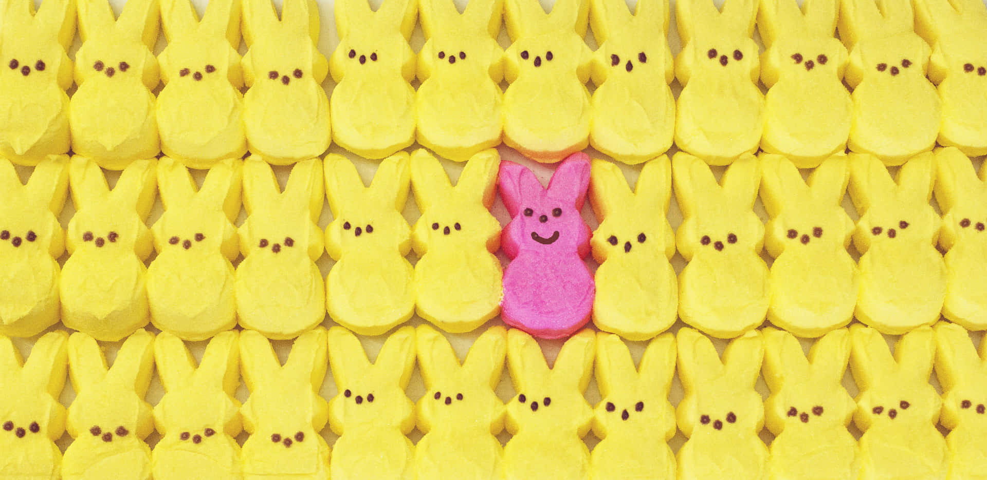 Easter Peeps Pink Bunny Among Yellow Chicks Wallpaper