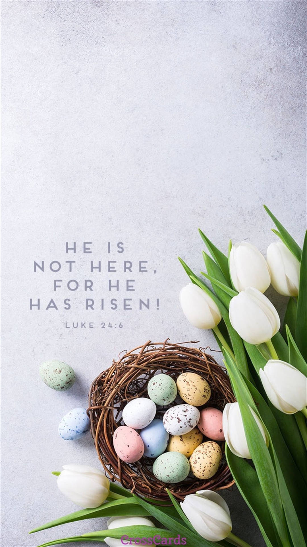Christian Easter iPhone cute easter iphone HD phone wallpaper  Pxfuel