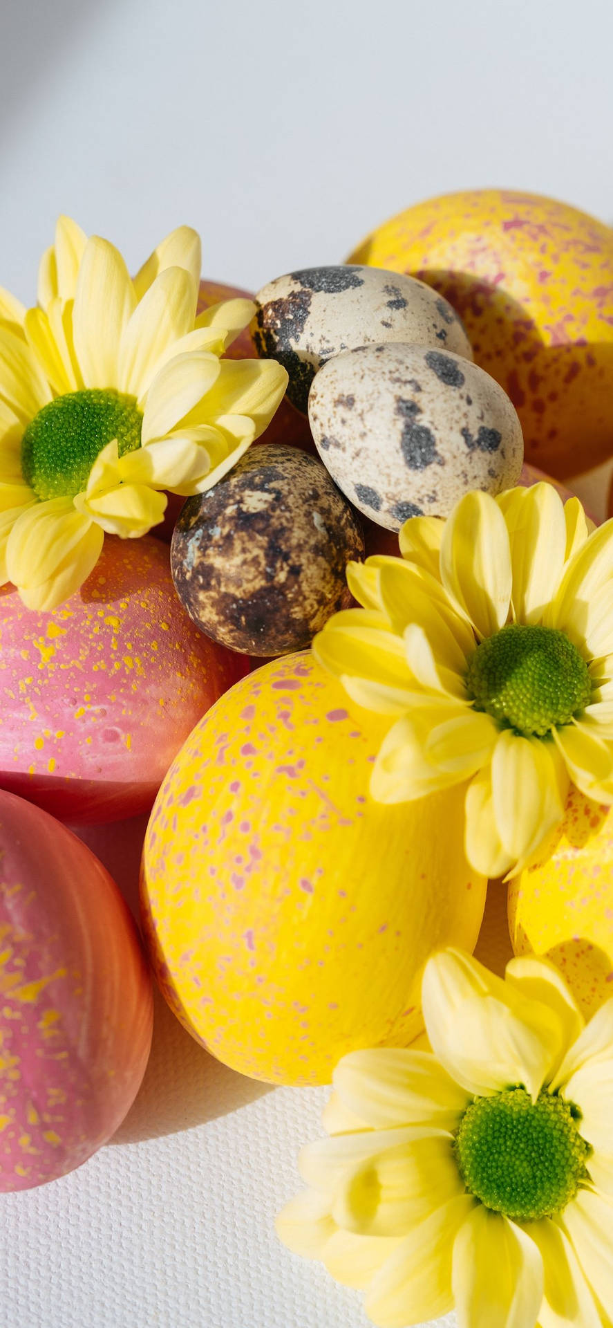 Celebrate Easter with your Phone Wallpaper