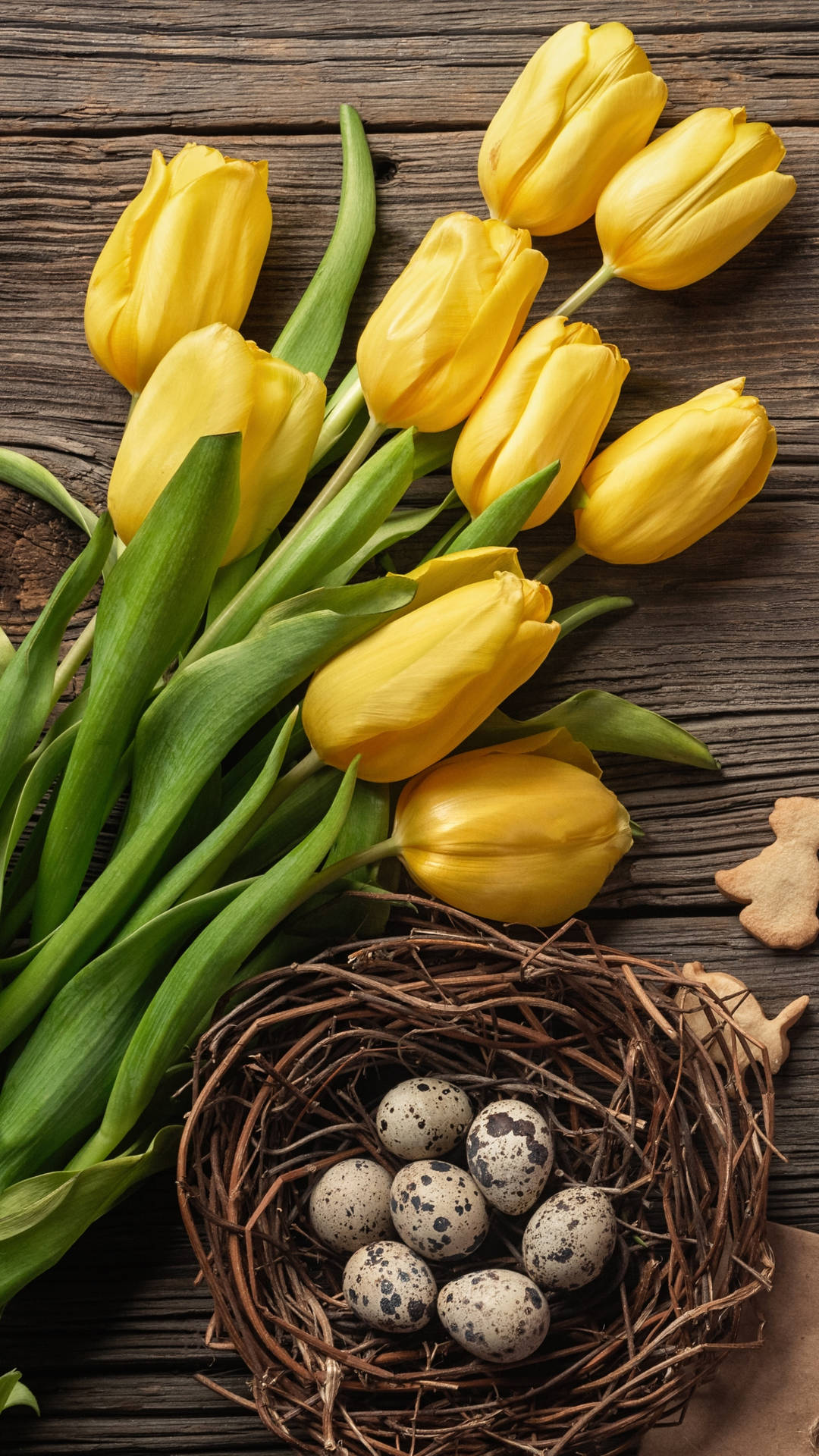 A Nest With Eggs And Tulips Wallpaper