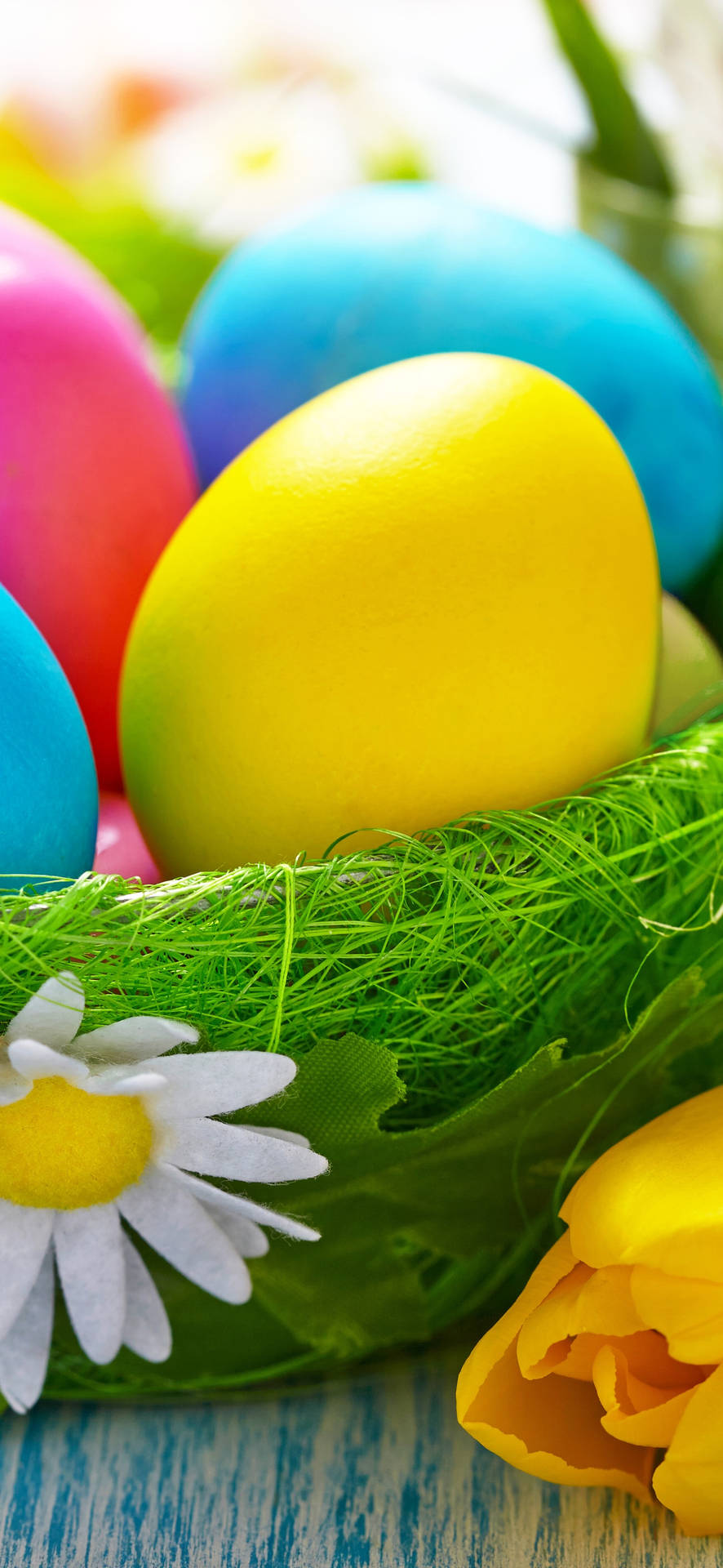 Easter colors eggs holidays HD phone wallpaper  Peakpx