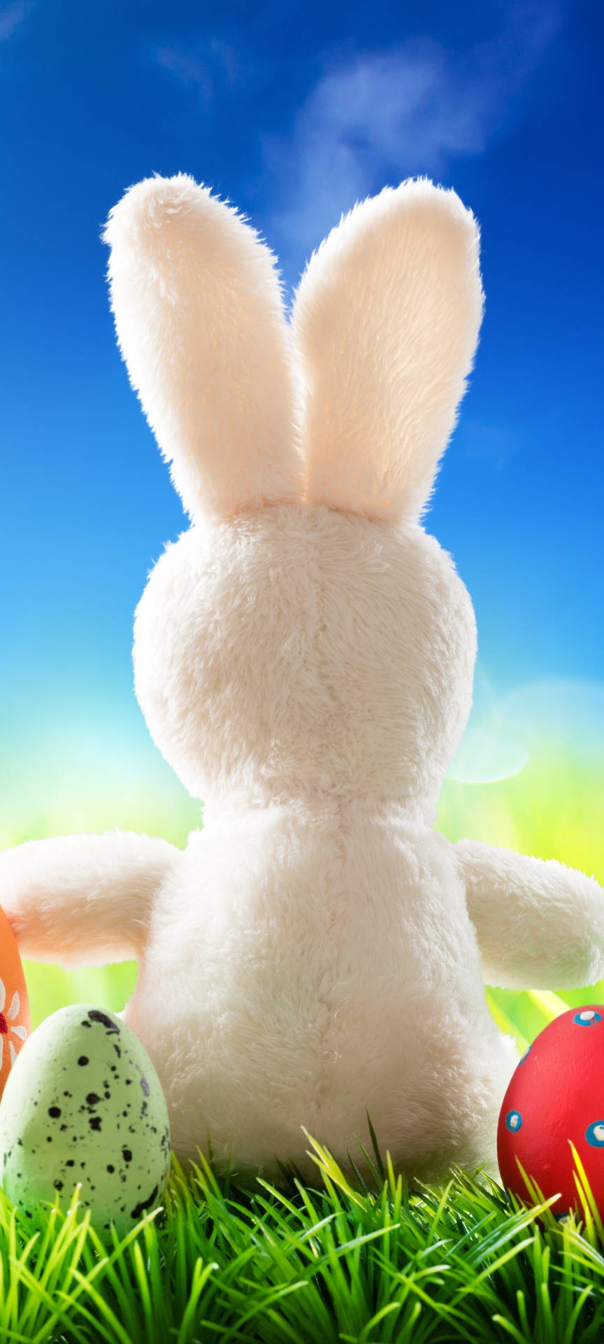 Easter White Bunny Phone Wallpaper