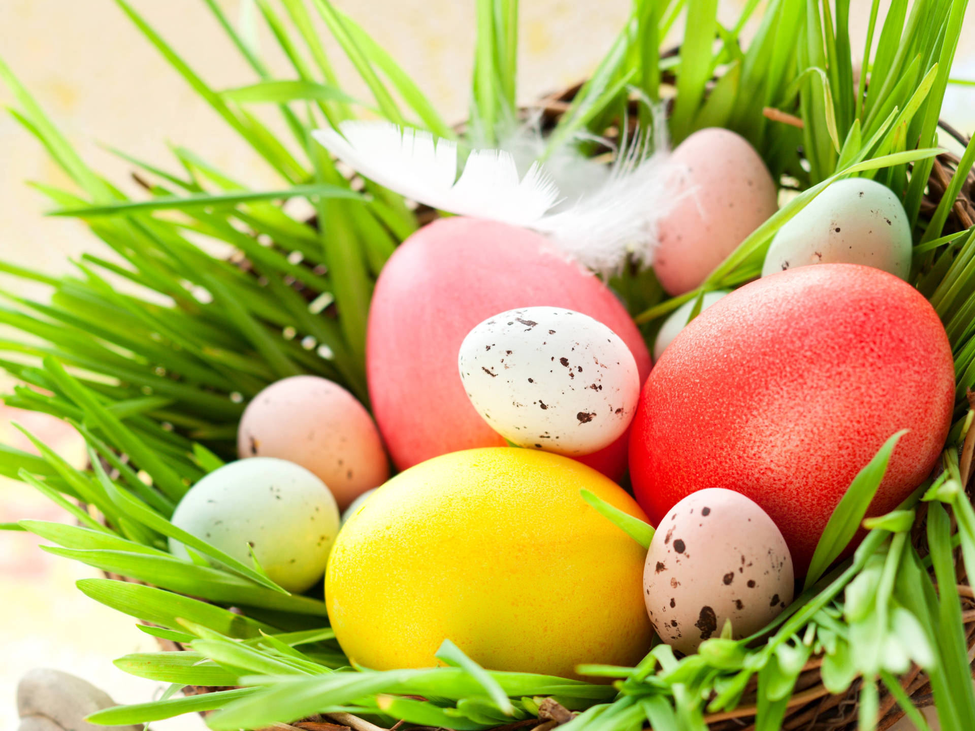 Easter Eggs In A Basket On Grass Wallpaper