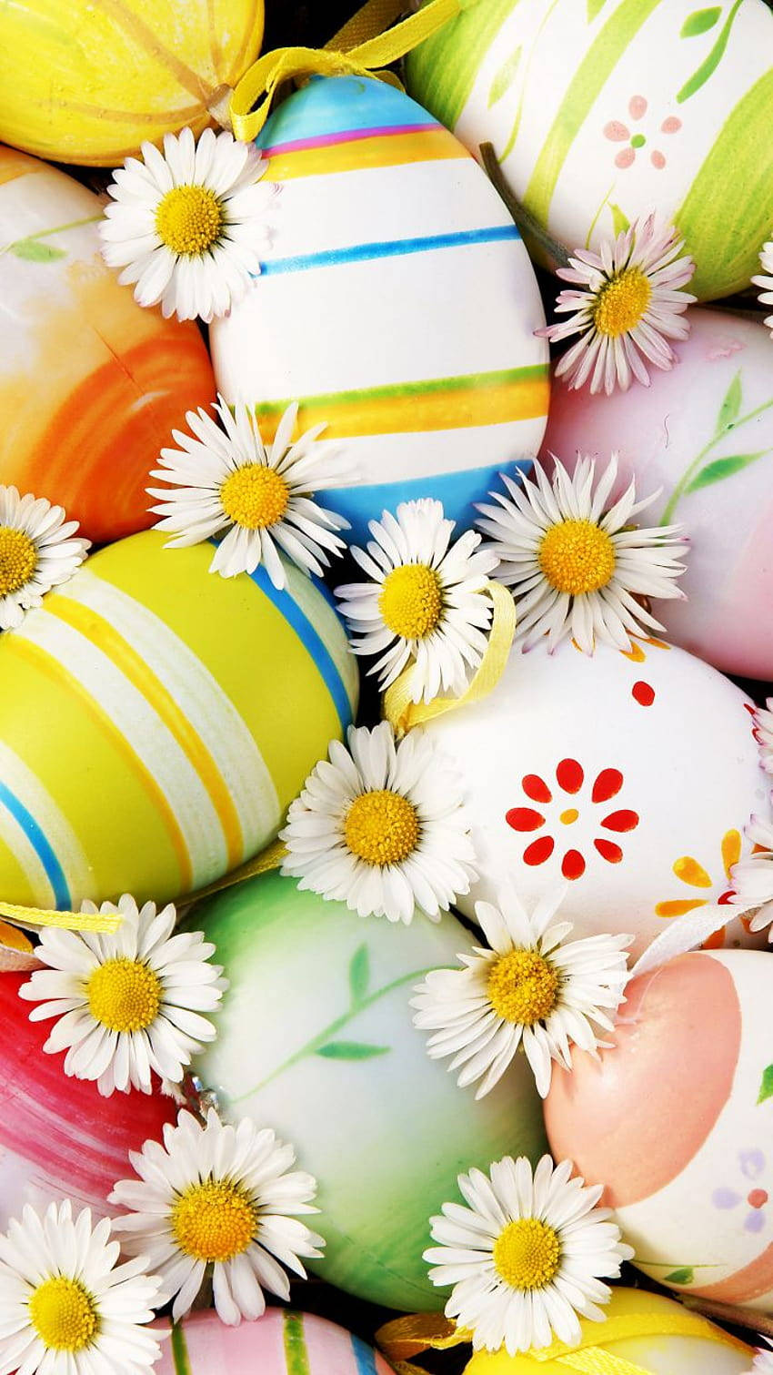 Easter Eggs With Daisies And Flowers Wallpaper