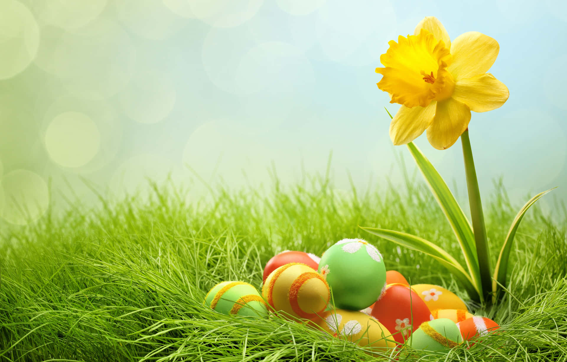 Feiernsie Ostern Mit Einem Korb Voller Eier Und Ihren Engsten Freunden