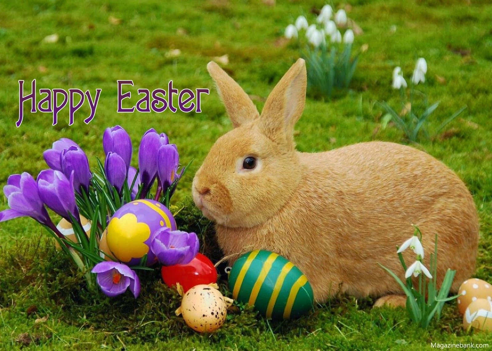 Feiernsie Ostern Mit Festlicher Freude!
