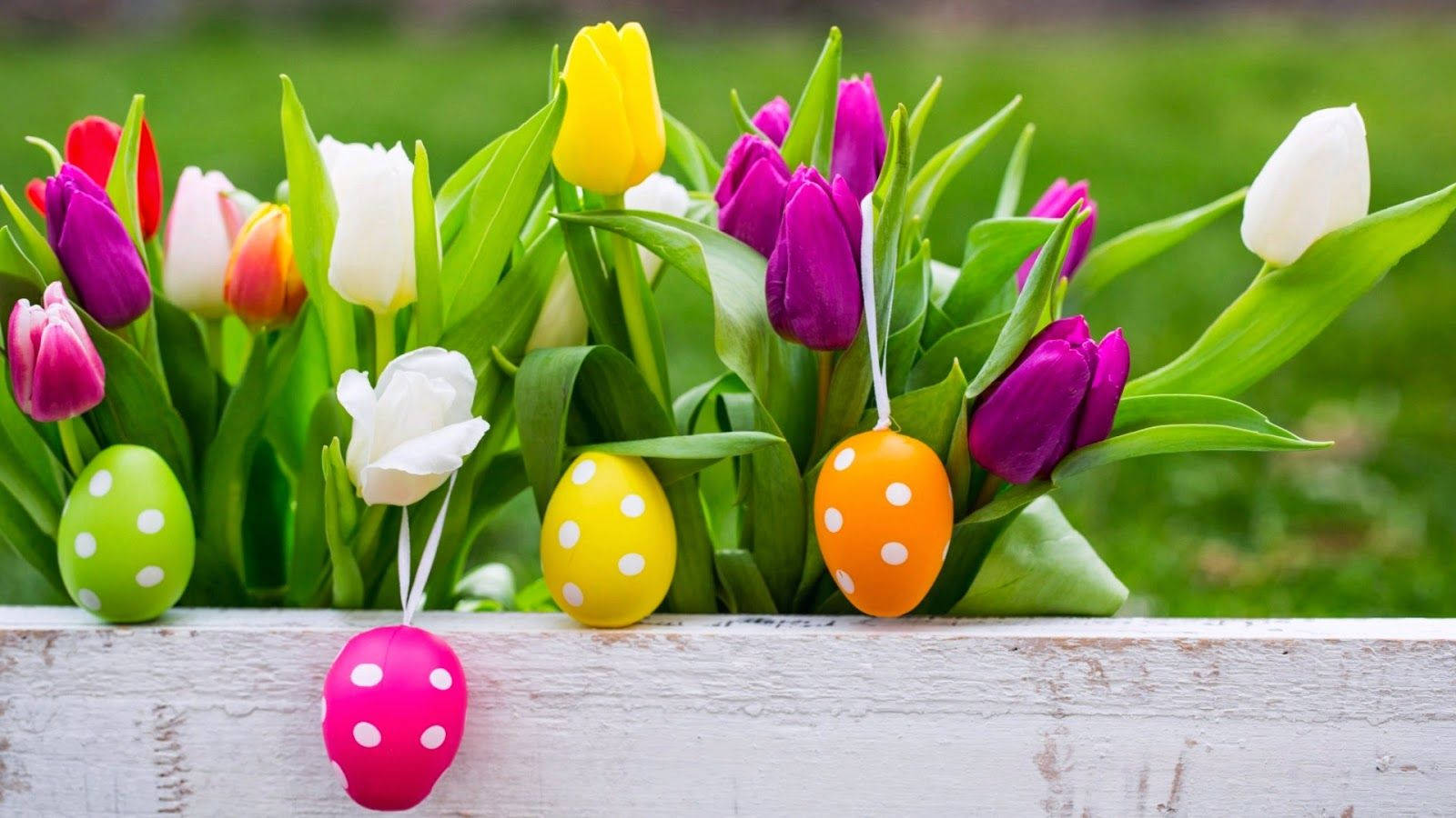 Celebrandola Pascua Con Un Hermoso Jarrón De Tulipanes. Fondo de pantalla