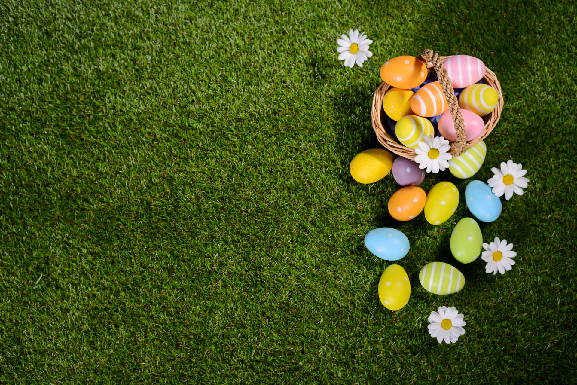 Easter is more than just an egg hunt, make it an adventure with Easter Zoom!