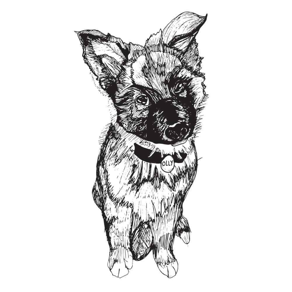 A Drawing Of A Dog With A Black Background