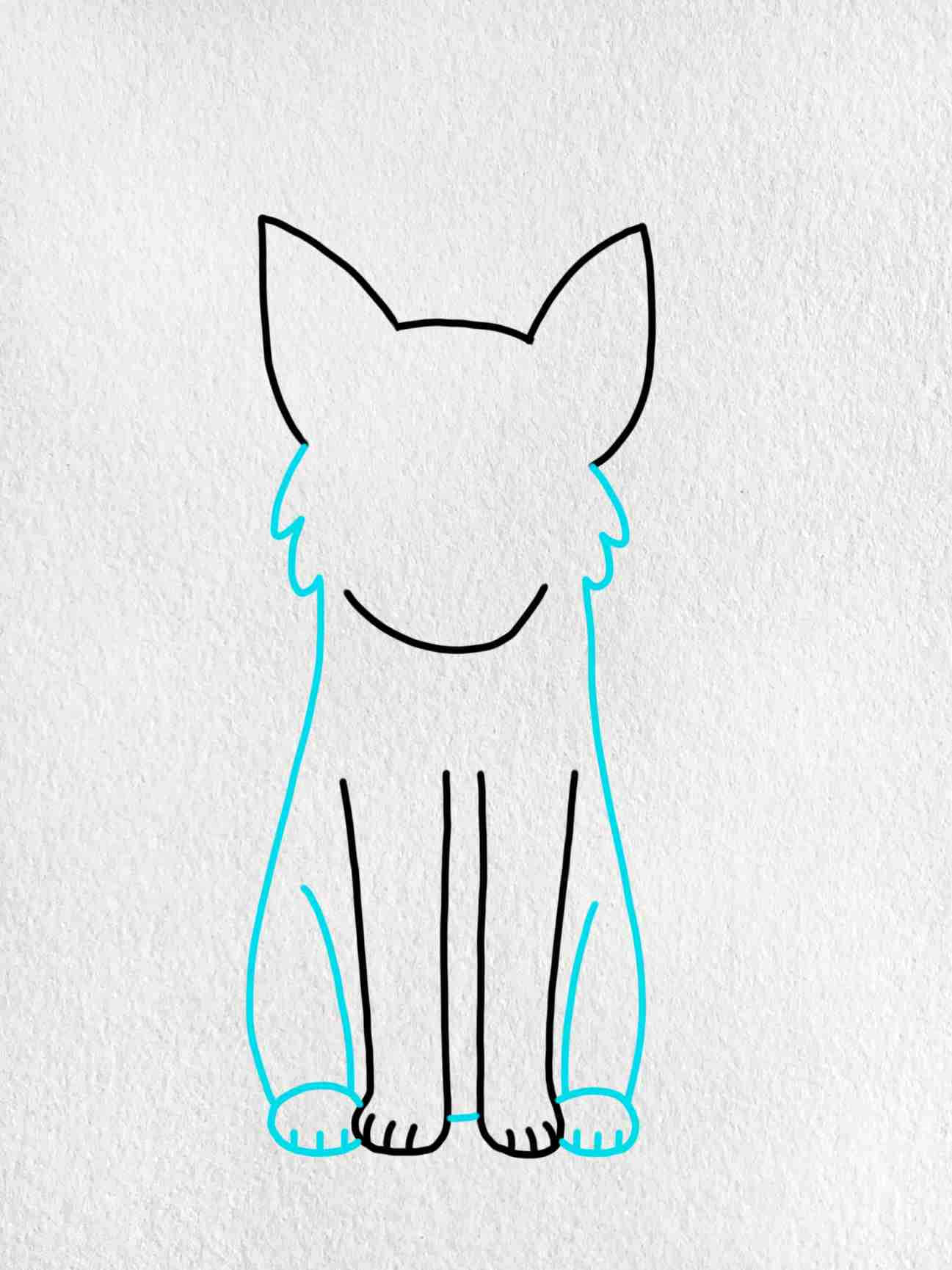 How To Draw A Cat Step 1
