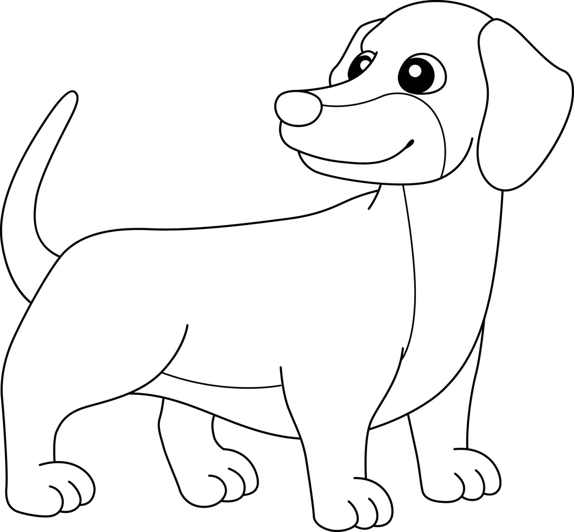 A Dachshund Coloring Page