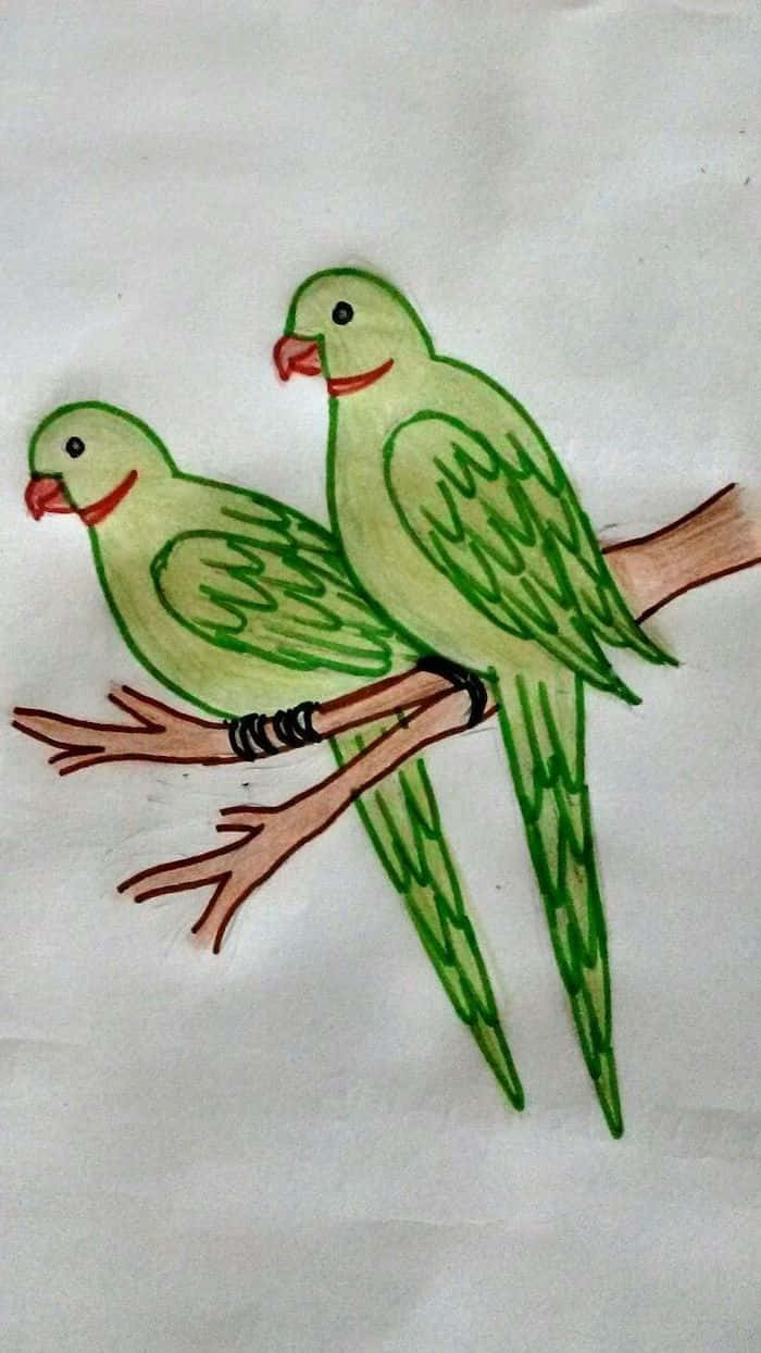 How to Draw a Parrot - Really Easy Drawing Tutorial-saigonsouth.com.vn