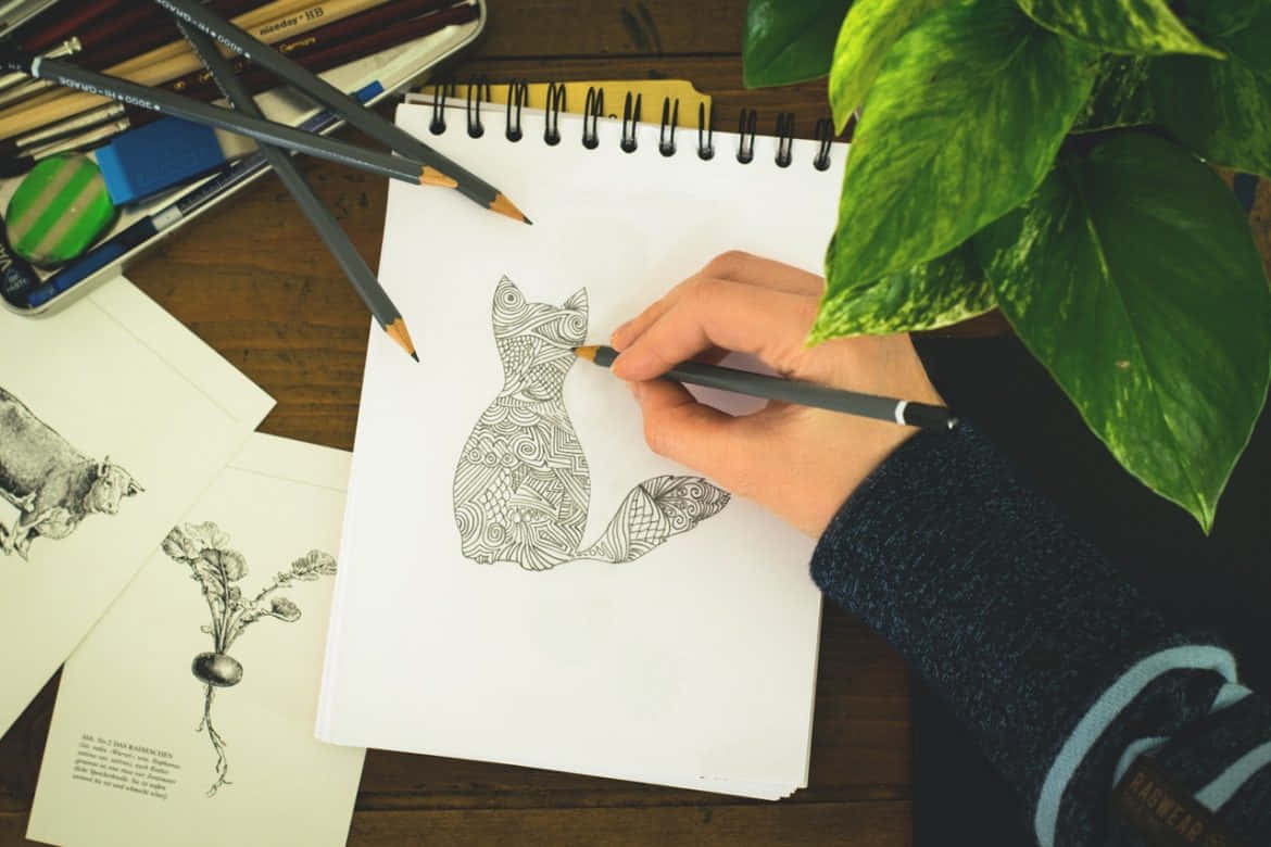 Cat Pencil Sketch Easy Drawing Picture