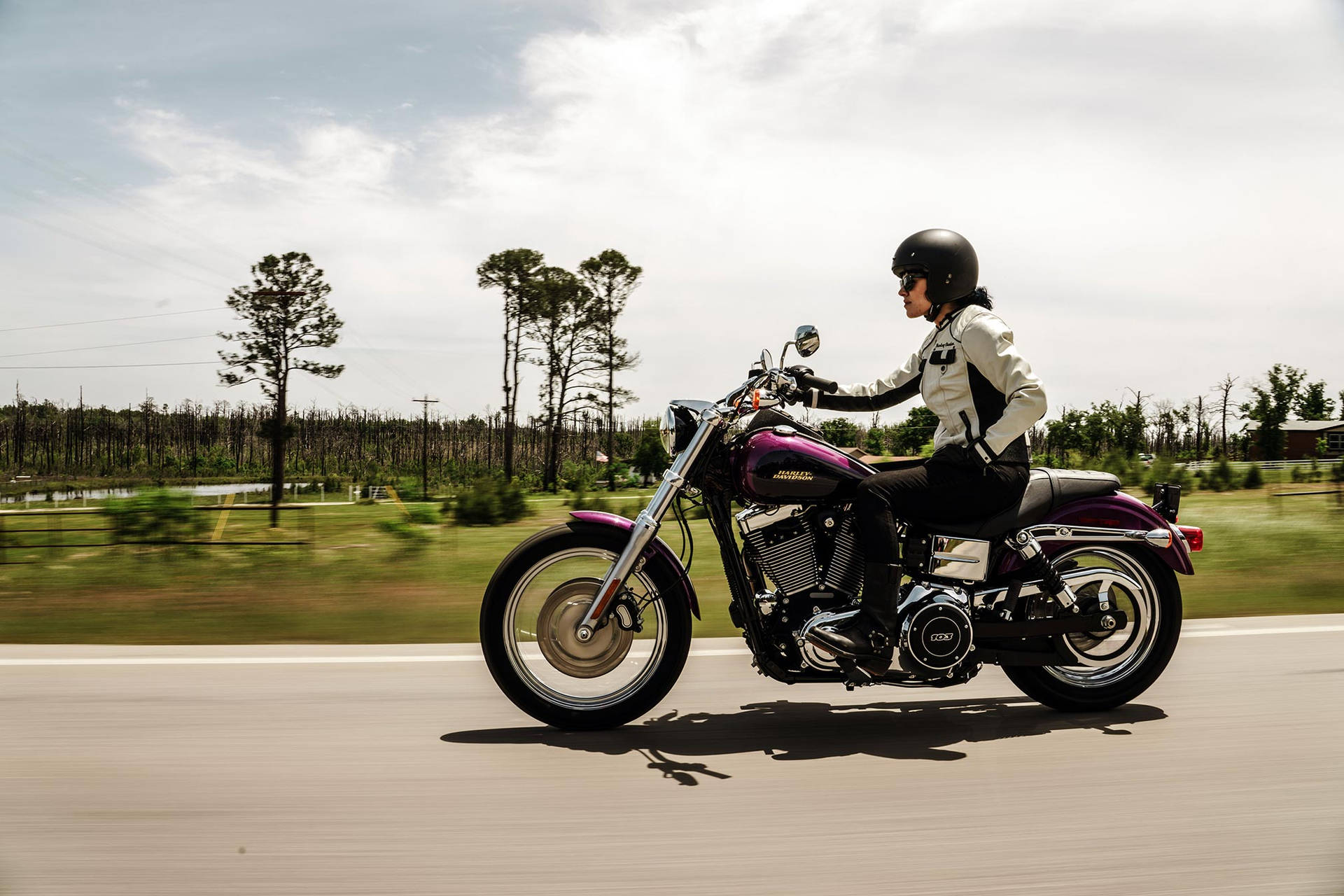 Easy Rider On Purple Motorbike Wallpaper