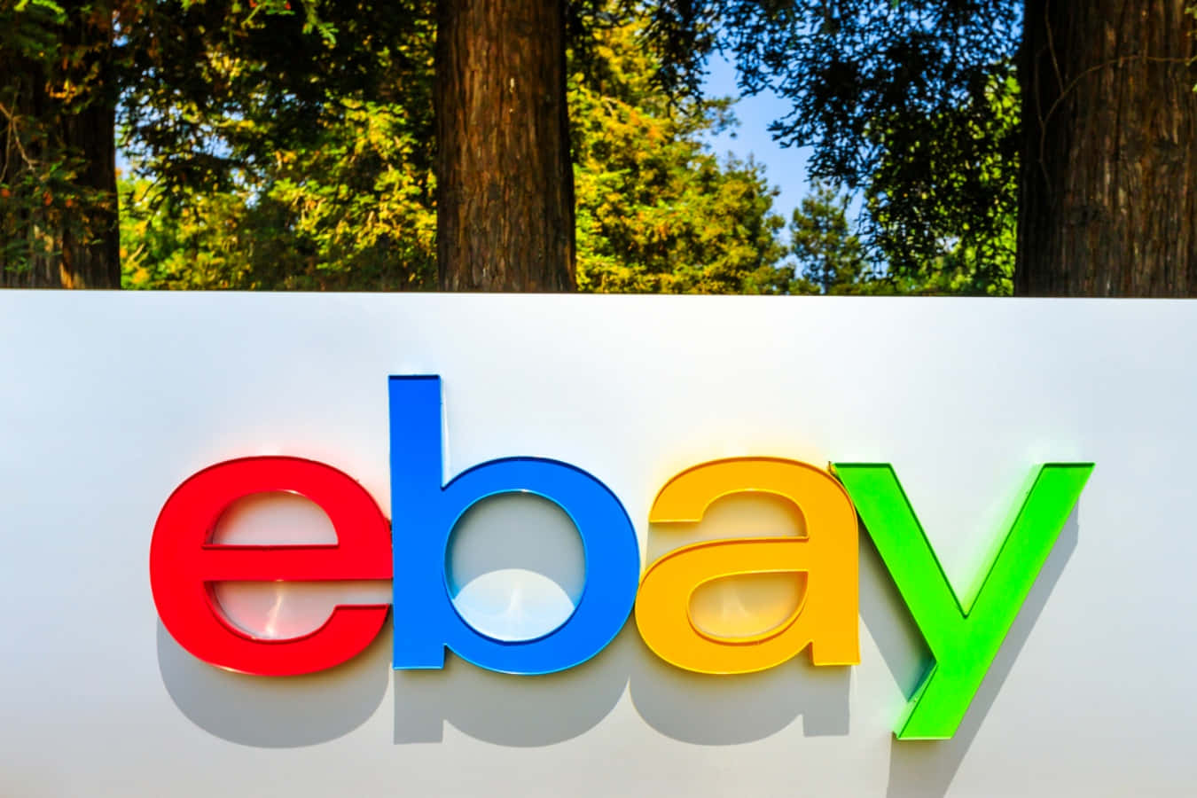 Ebay's New Logo Is Shown In Front Of Trees
