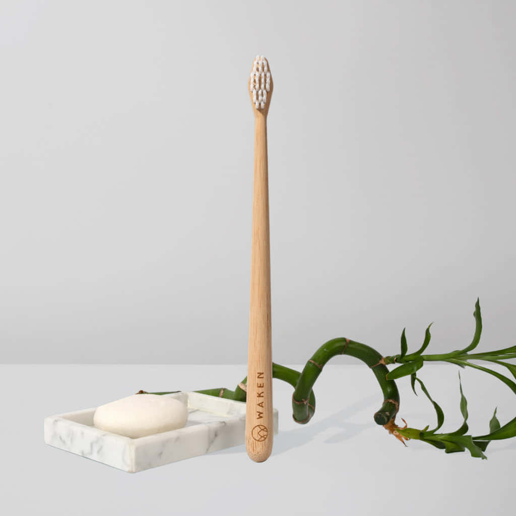 Eco Friendly Bamboo Toothbrush Setup Wallpaper