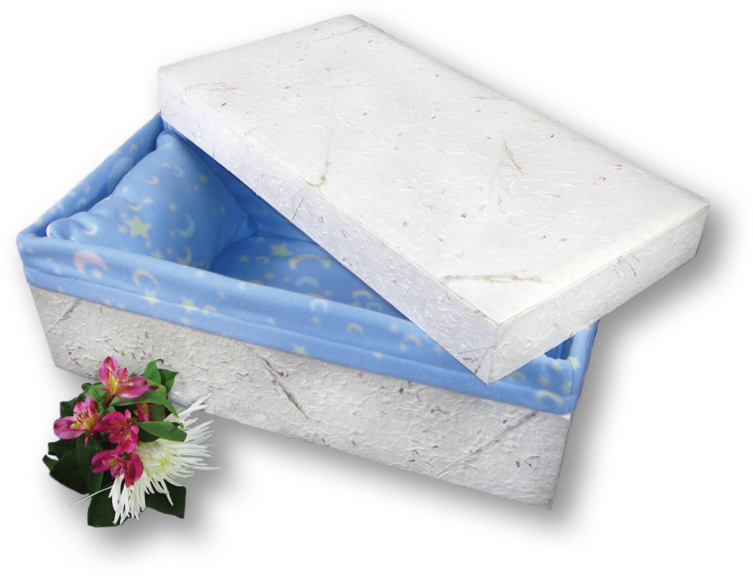 Eco Friendly Coffinwith Floral Tribute PNG