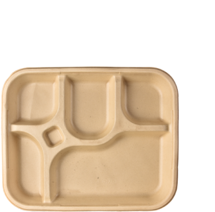 Eco Friendly Compartment Plate PNG