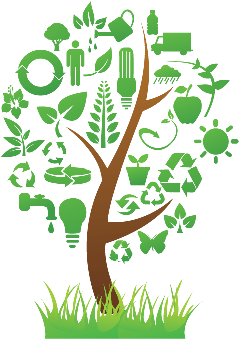 Eco Friendly Concept Tree PNG