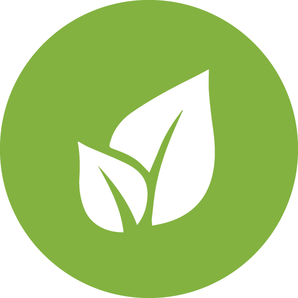 Download Eco Friendly Leaf Icon 