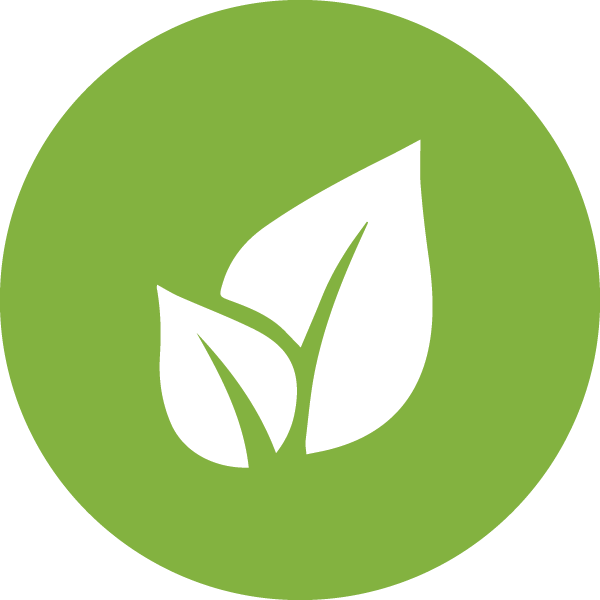 Eco Friendly Leaf Icon PNG