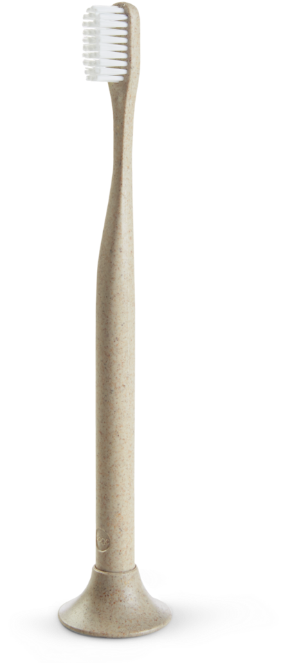 Eco Friendly Toothbrush Standing PNG