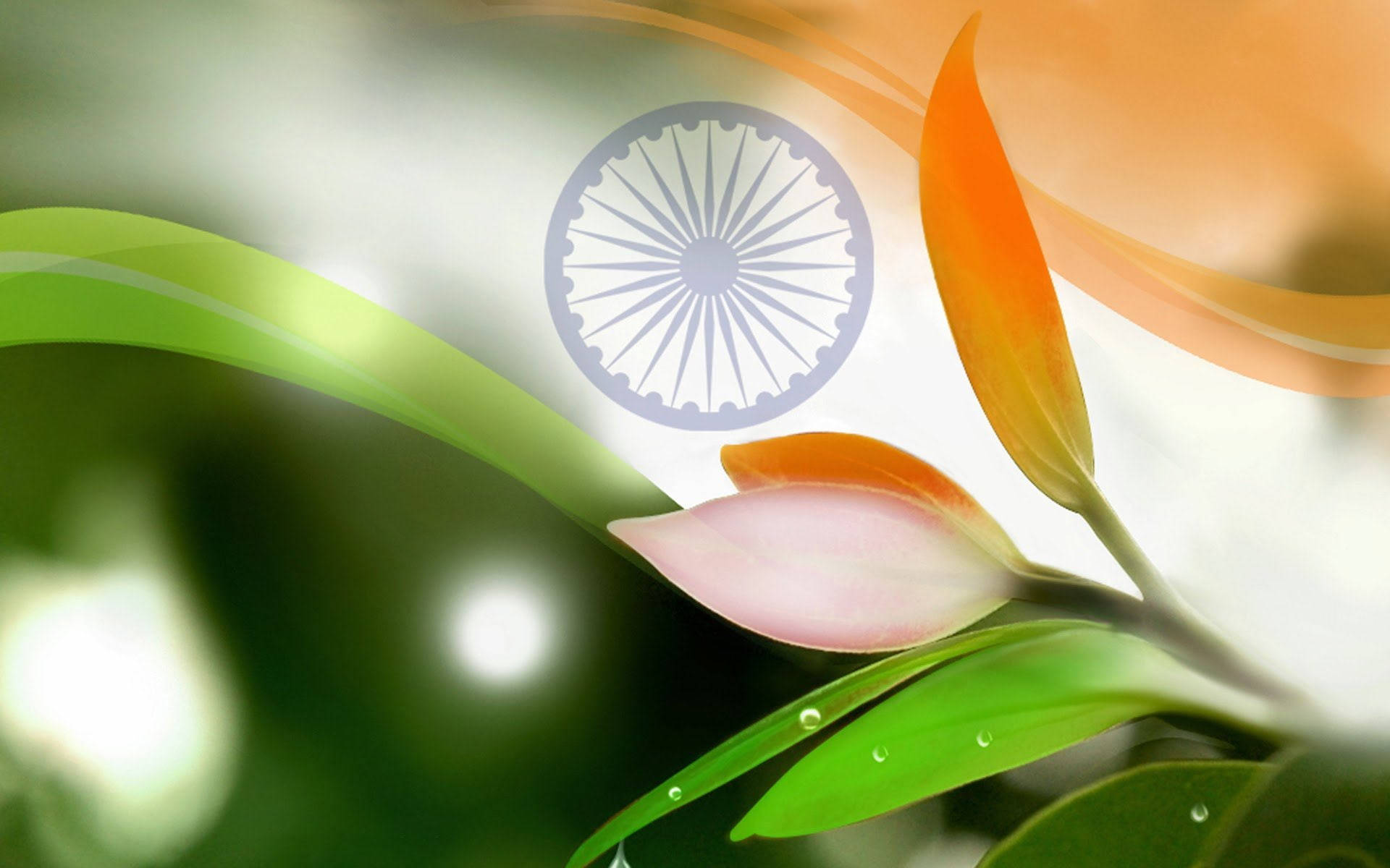 Eco Indian Flag Background