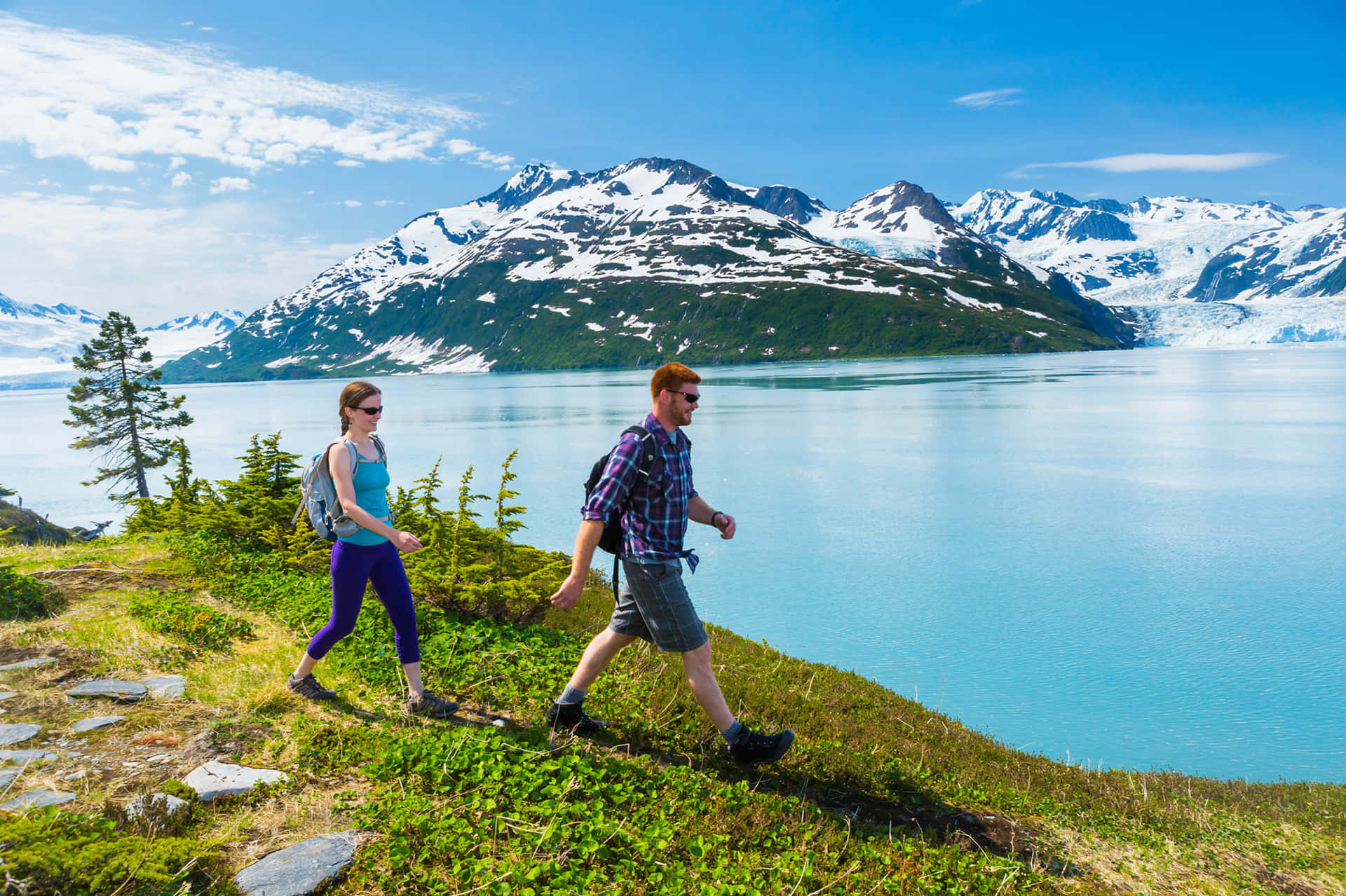 Программа аляска. Путешествие на Аляску. Устойчивый туризм и осознанные путешествия. Экотуризм панорама. Туризм путешествие приключение.
