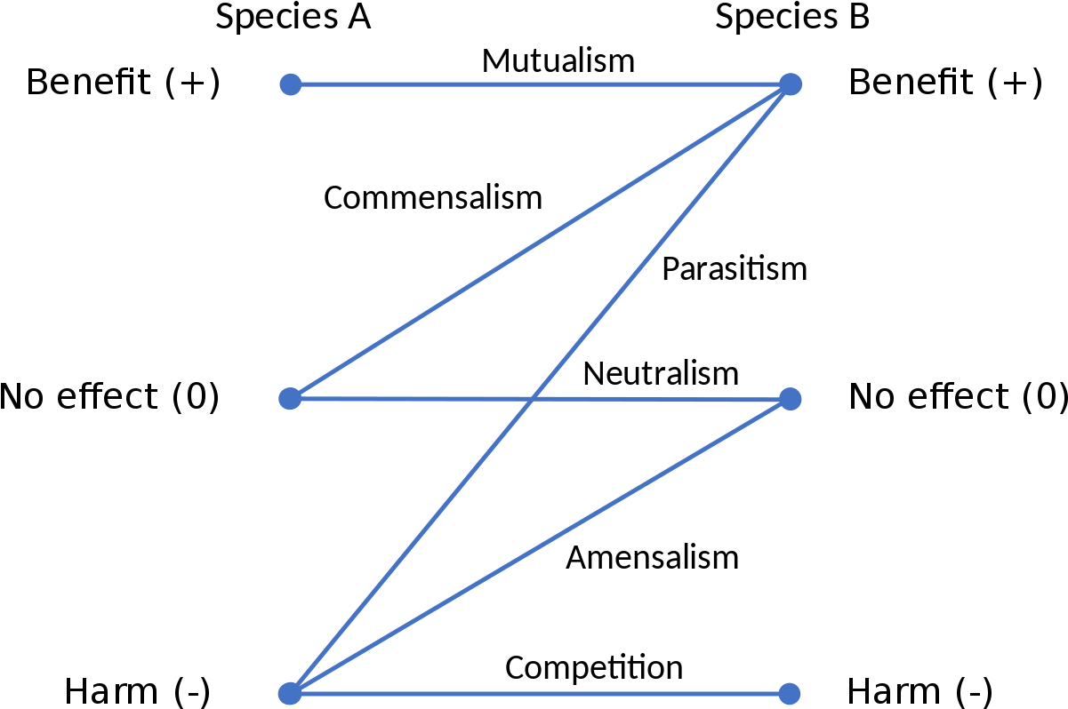 Ecological Interactions Chart PNG