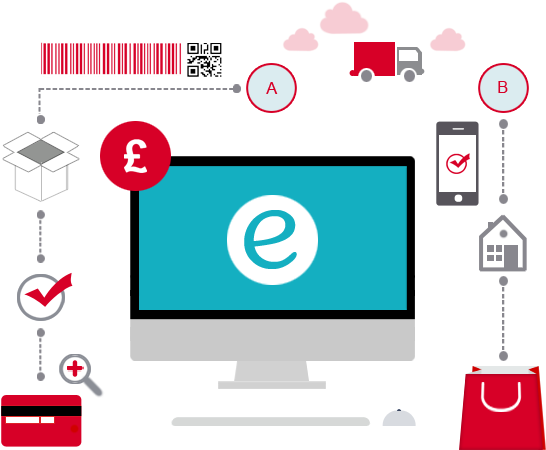 Ecommerce Process Infographic PNG