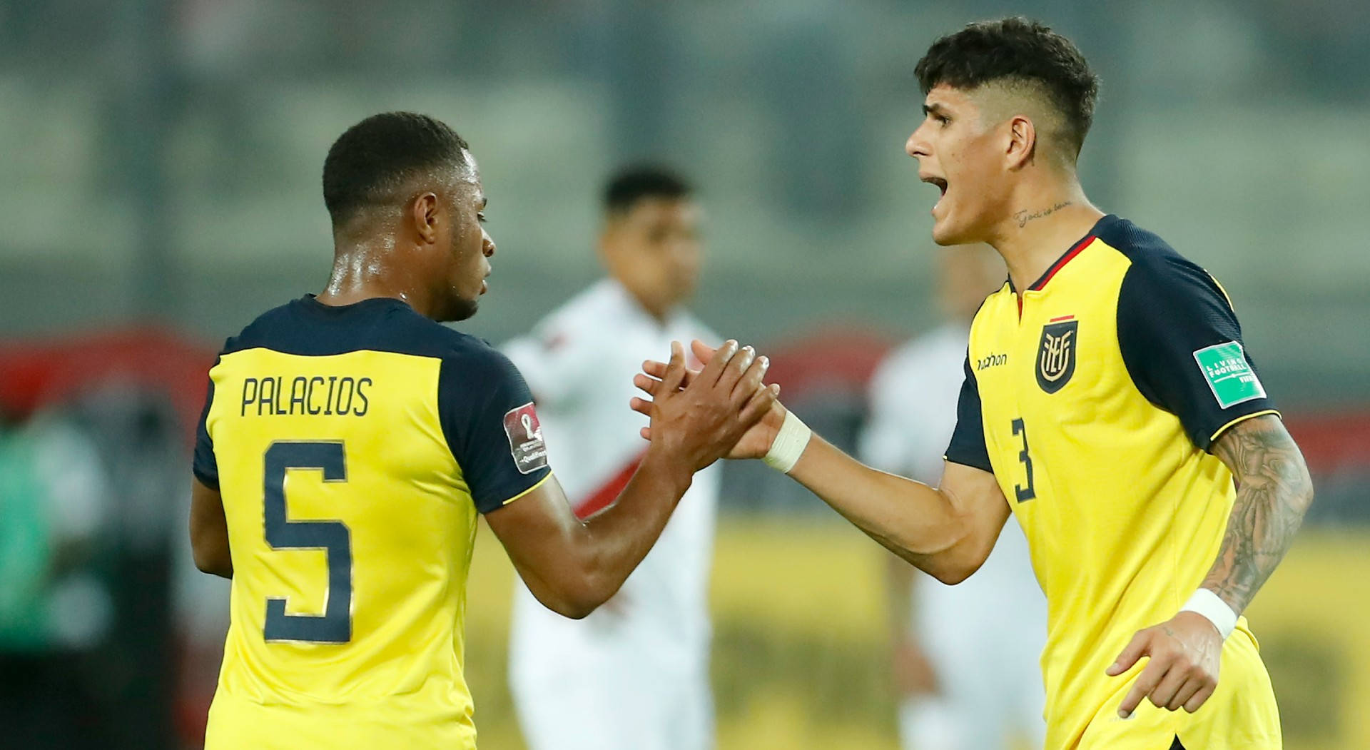 Jugadoresde La Selección Nacional De Fútbol De Ecuador Fondo de pantalla