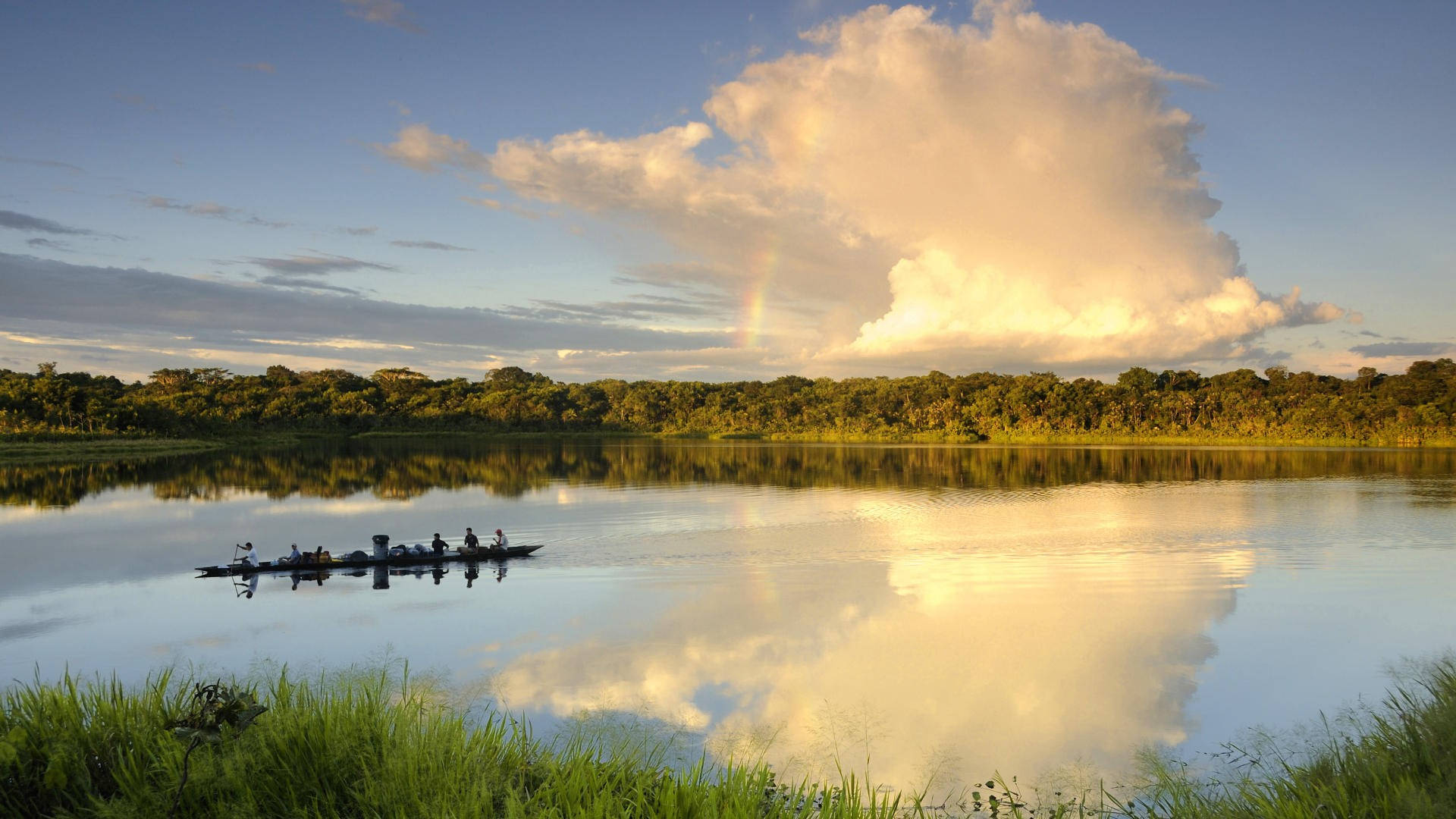 Parquenacional Yasuní De Ecuador. Fondo de pantalla