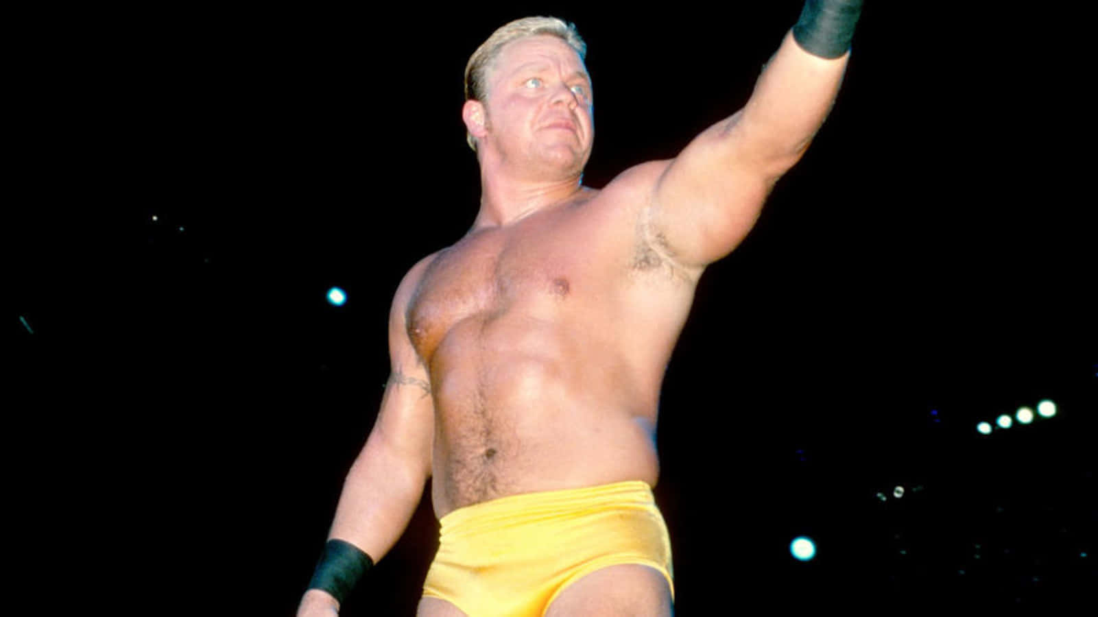 ECW legende Wrestler Shane Douglas i gul og brun Wallpaper