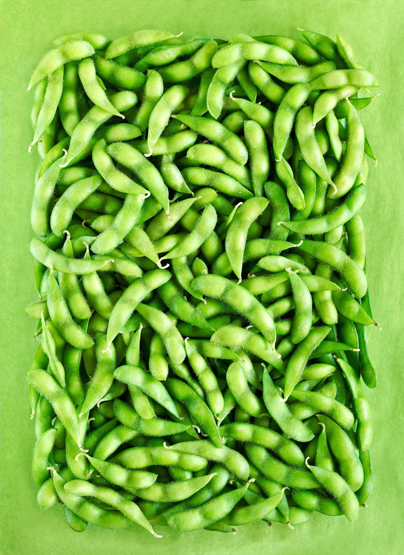 Edamame Beans Arranged In Square Background