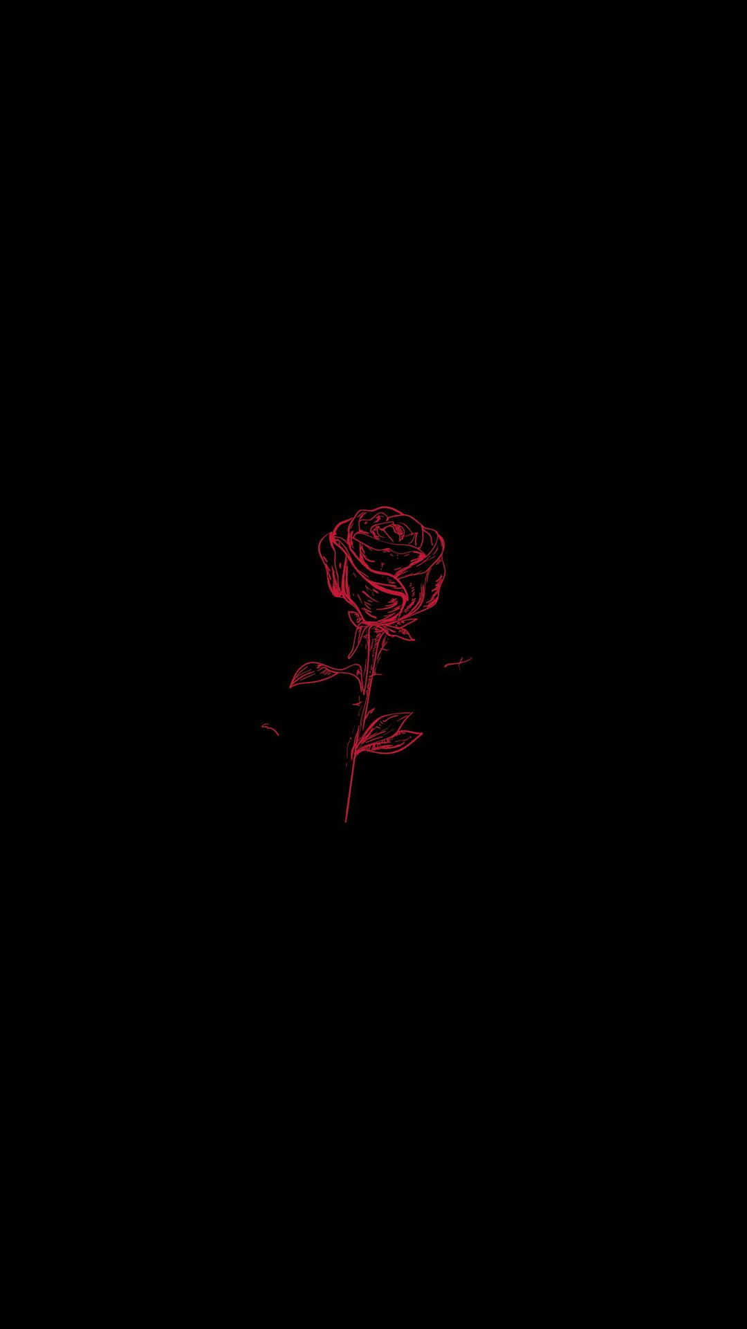 Einerote Rose Auf Einem Schwarzen Hintergrund