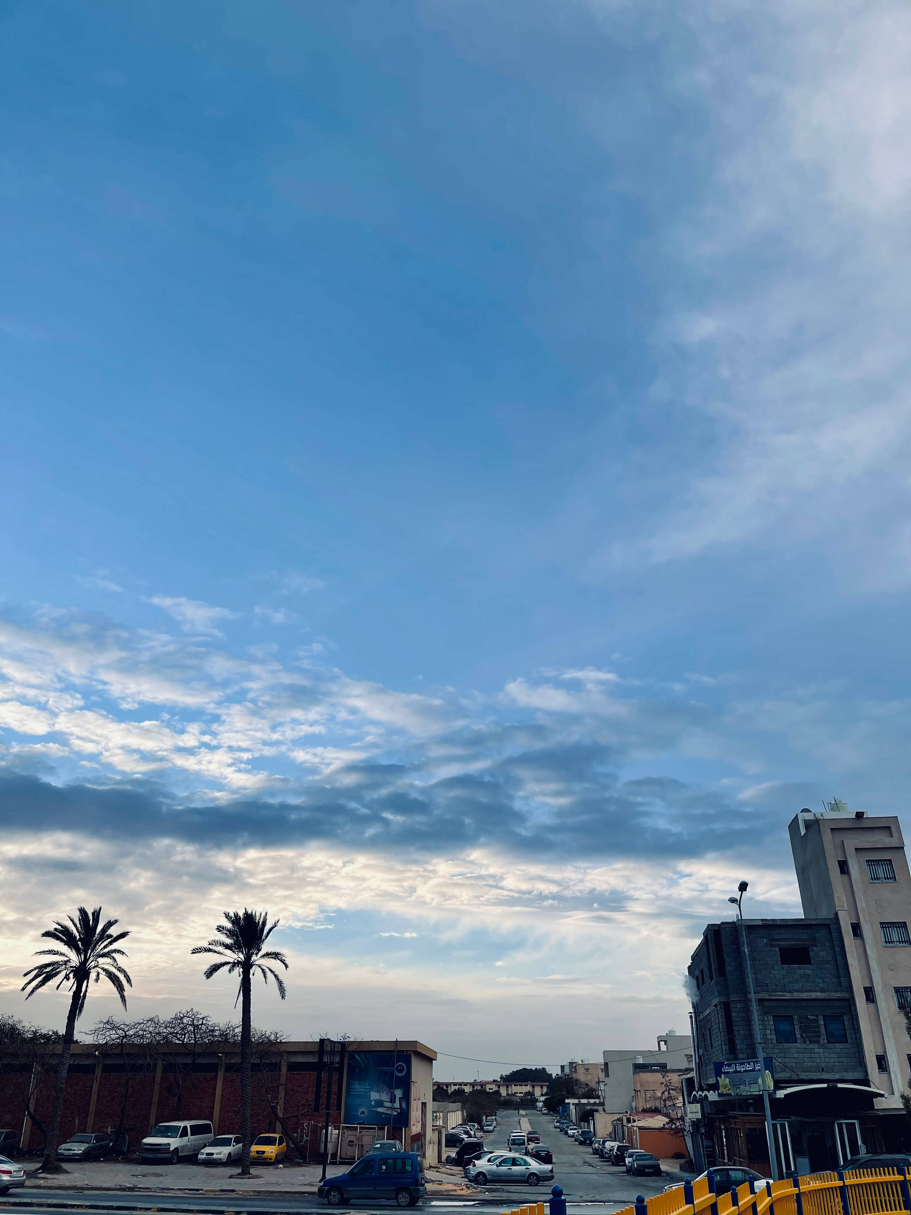 Libya City Buildings Wallpaper — A wide urban street framed by palm trees under a vast blue sky with scattered clouds.