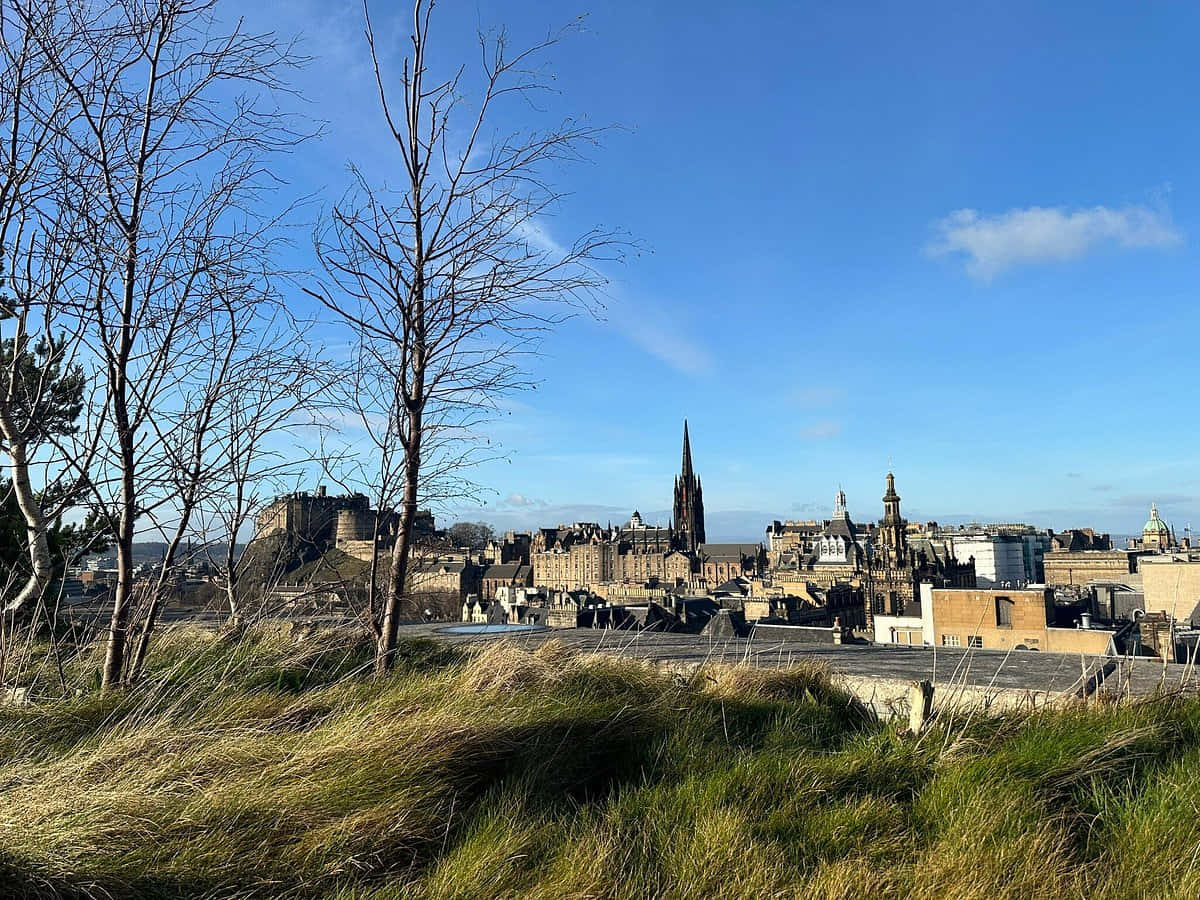 Edinburgh Cityscape View Wallpaper