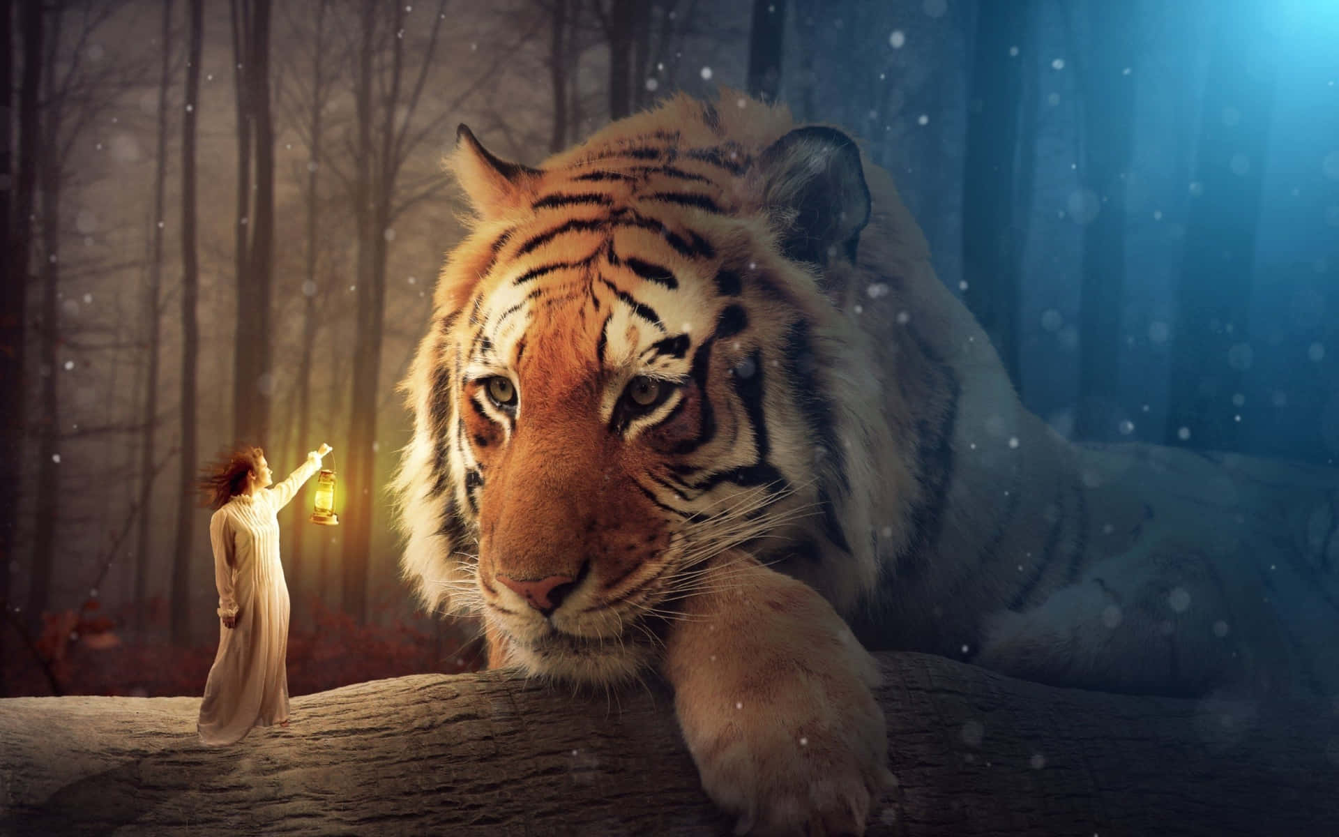 Woman And Giant Tiger Editing Background