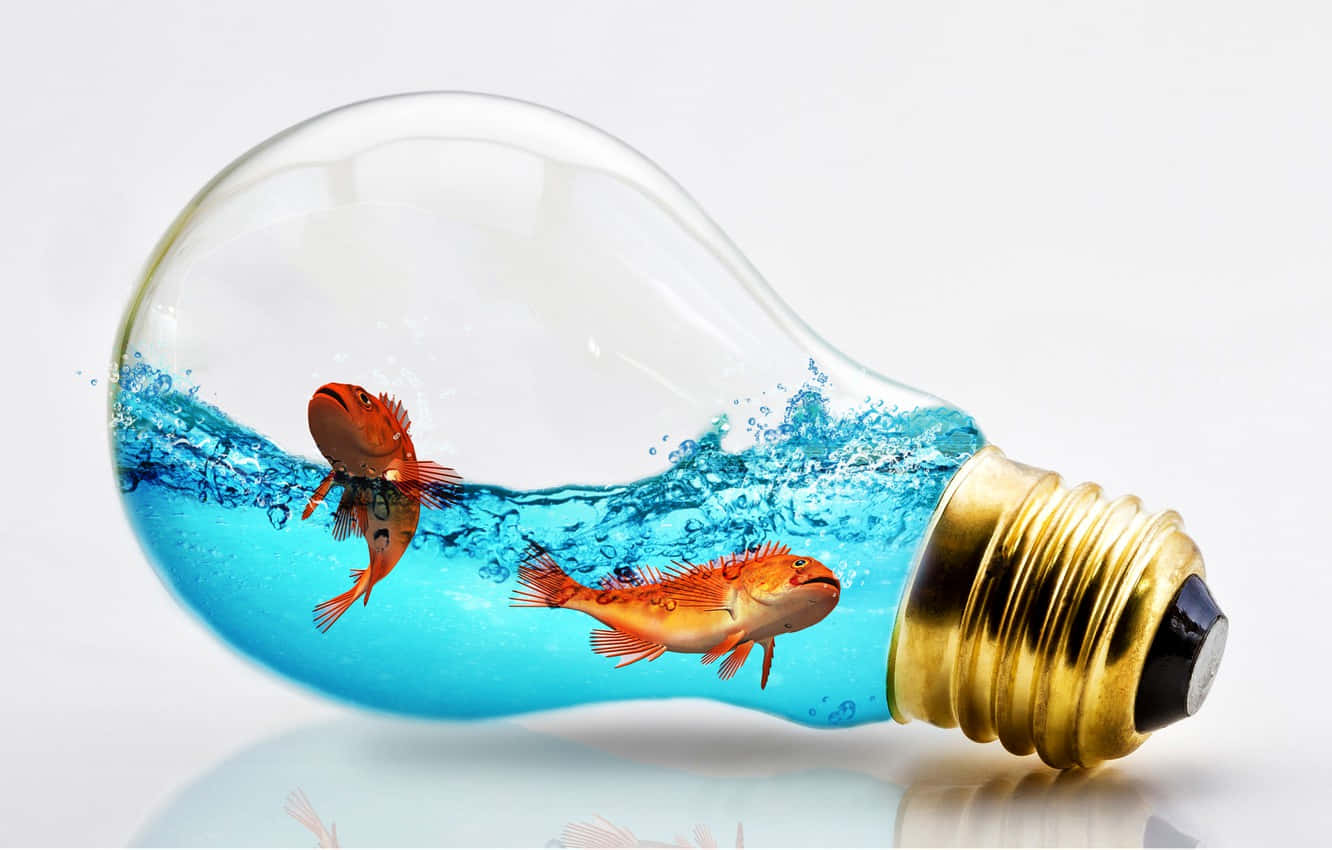 Fish In Light Bulb Editing Background