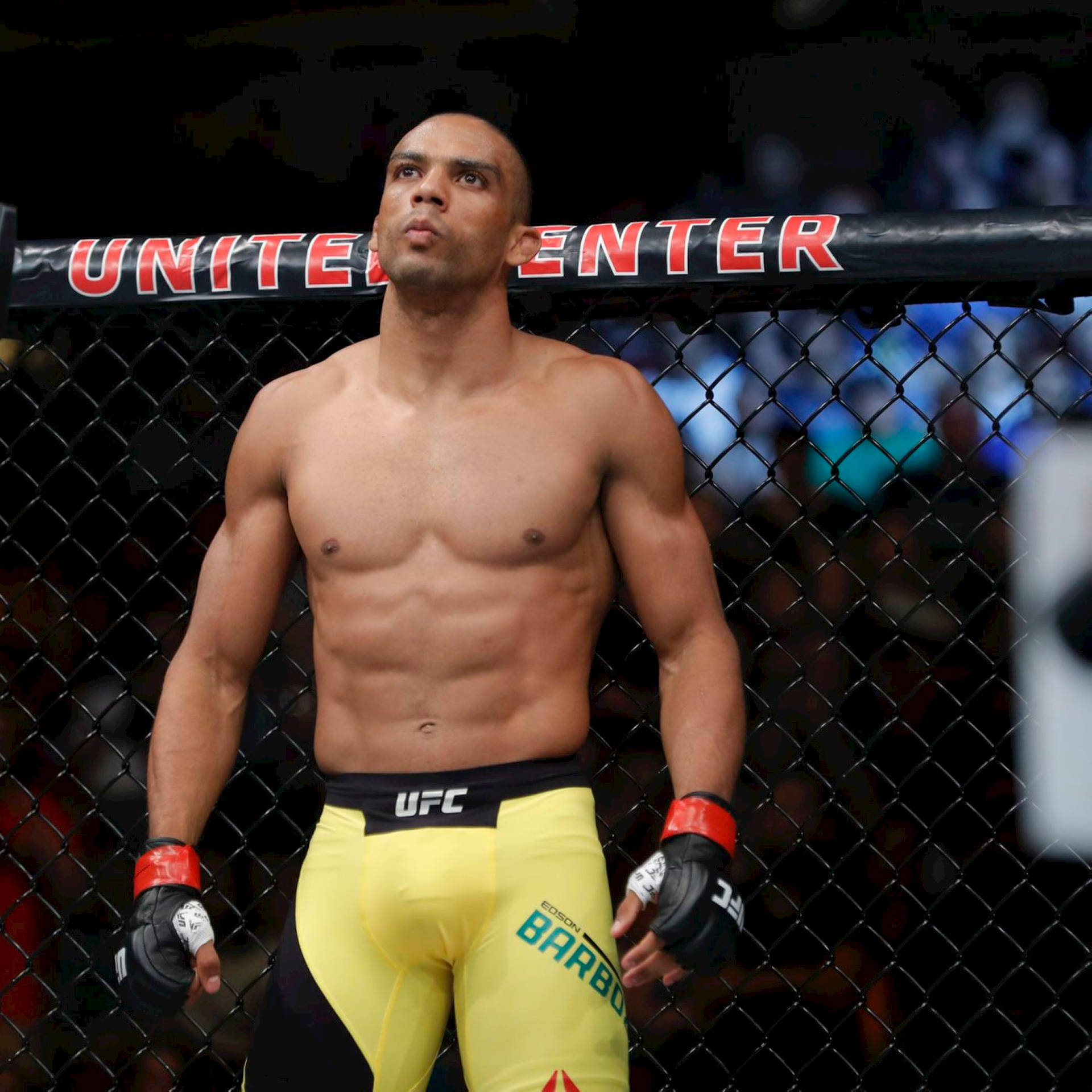 Edson Barboza In The Ring Wallpaper