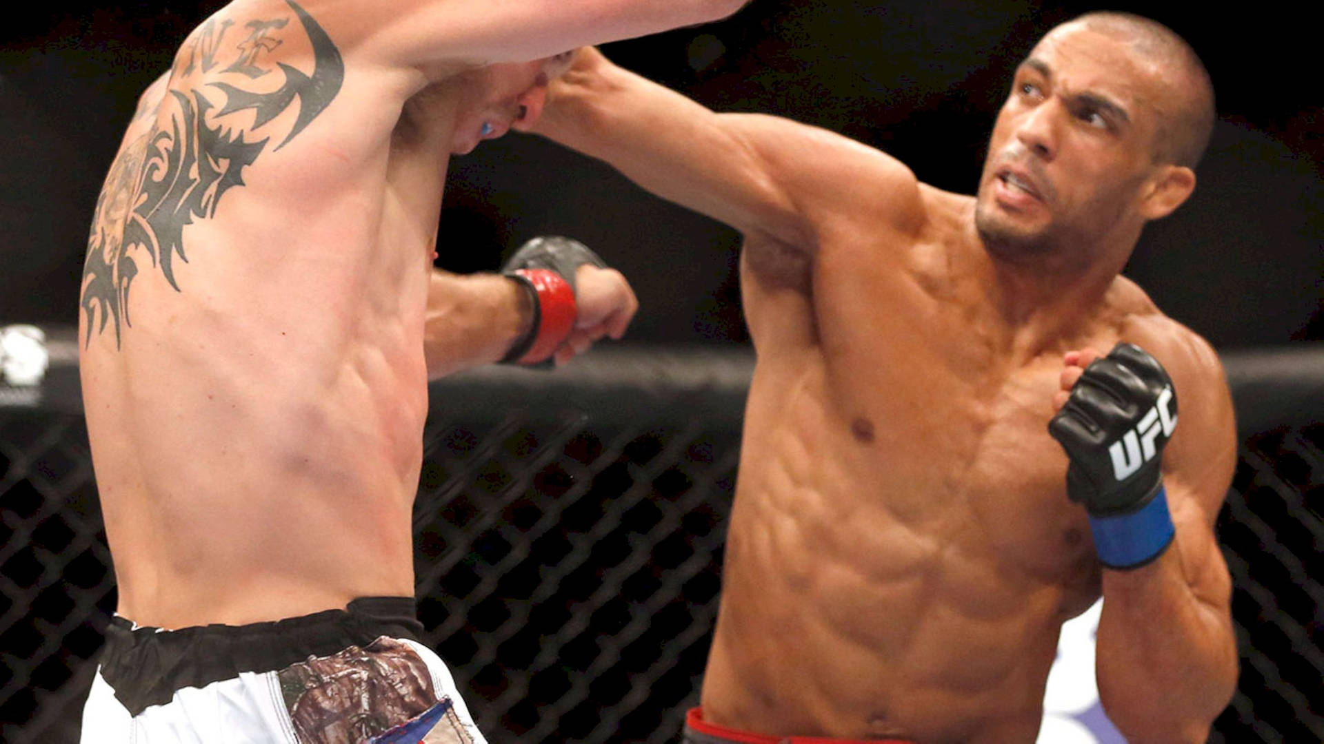 Edson Barboza Punching His Opponent Wallpaper