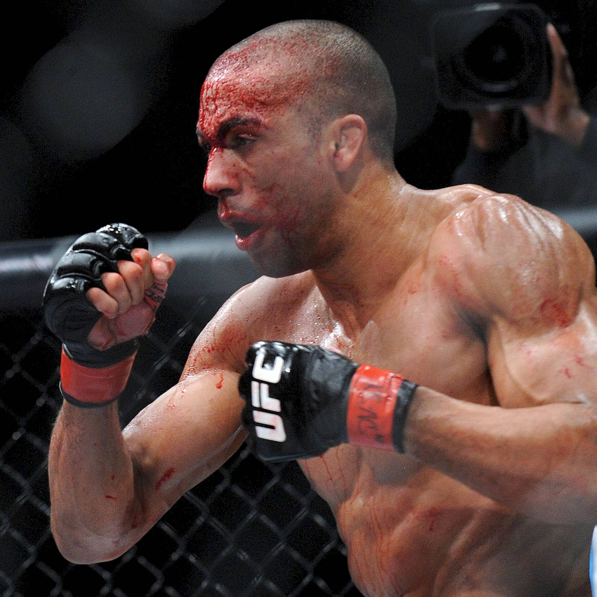 Edson Barboza With Bloody Face Wallpaper