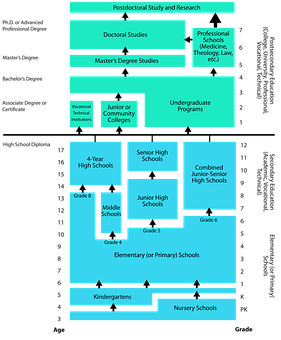 Education System Flowchart PNG