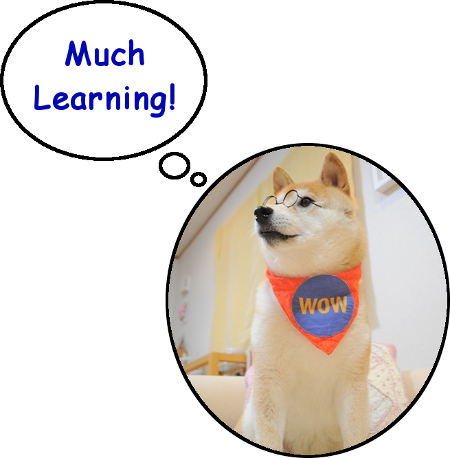Educational Doge Thought Bubble PNG