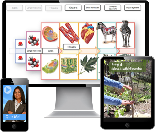 Download Educational Interactive Learning Platforms 