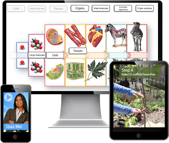 Educational Interactive Learning Platforms PNG