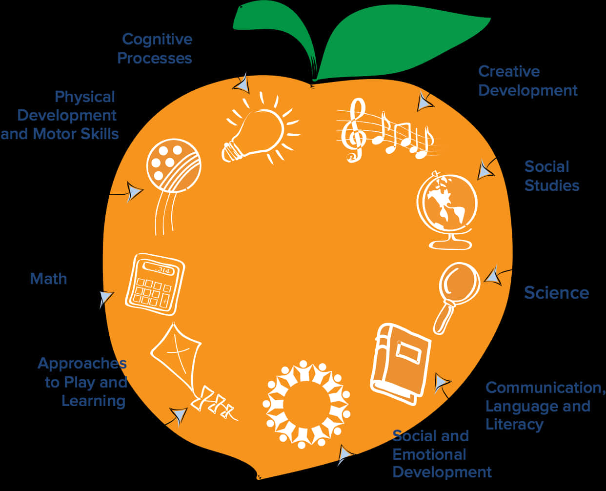 Educational Peach Infographic PNG