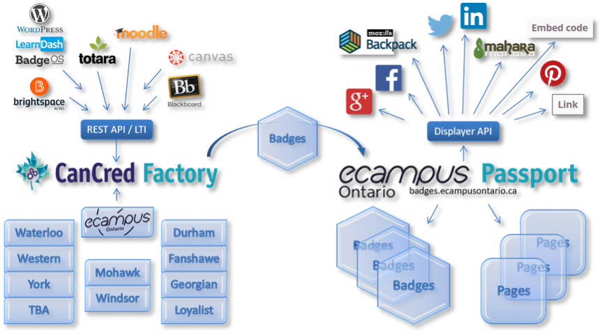 Educational Technology Integration Flowchart PNG