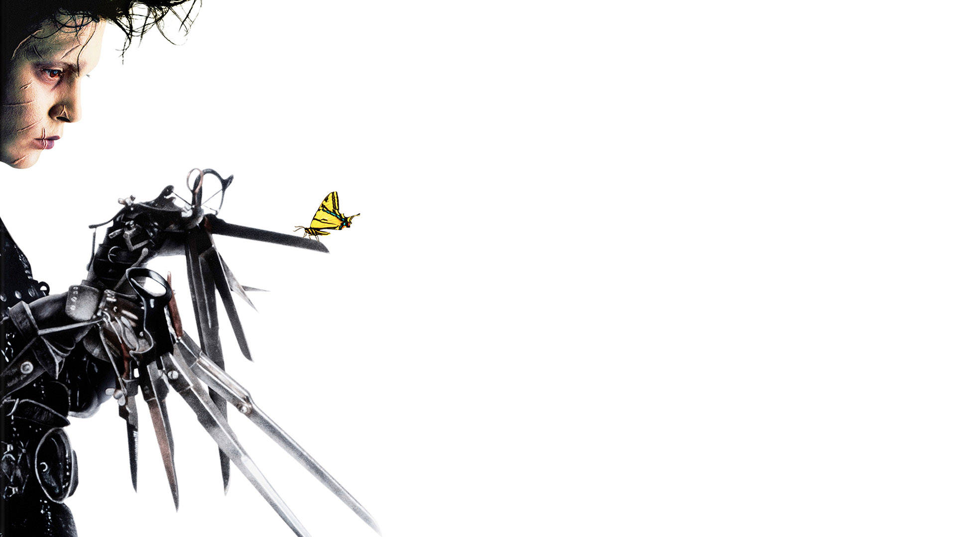 Edwardscissorhands Con Una Mariposa. Fondo de pantalla